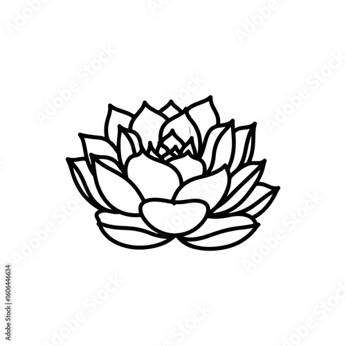 black and white line drawing of a succulent or flowering plant with intricate, overlapping petals or leaves. The overall shape resembles a rosette or spiral pattern, creating a visually striking and g