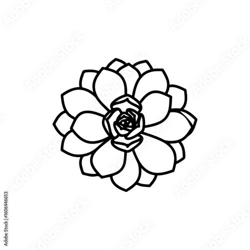 black and white line drawing of a succulent or flowering plant with intricate, overlapping petals or leaves. The overall shape resembles a rosette or spiral pattern, creating a visually striking and g