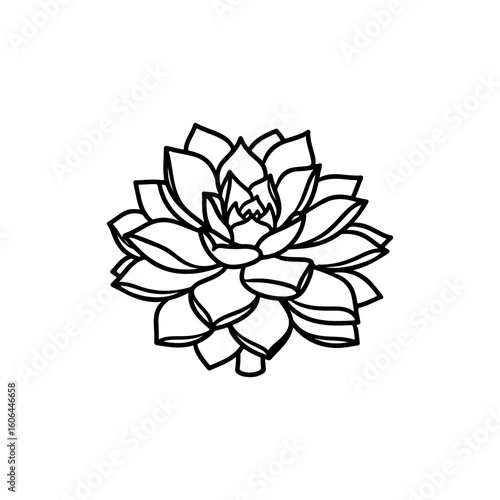 black and white line drawing of a succulent or flowering plant with intricate, overlapping petals or leaves. The overall shape resembles a rosette or spiral pattern, creating a visually striking and g