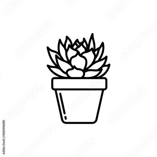 black and white line drawing of a succulent or flowering plant with intricate, overlapping petals or leaves. The overall shape resembles a rosette or spiral pattern, creating a visually striking and g