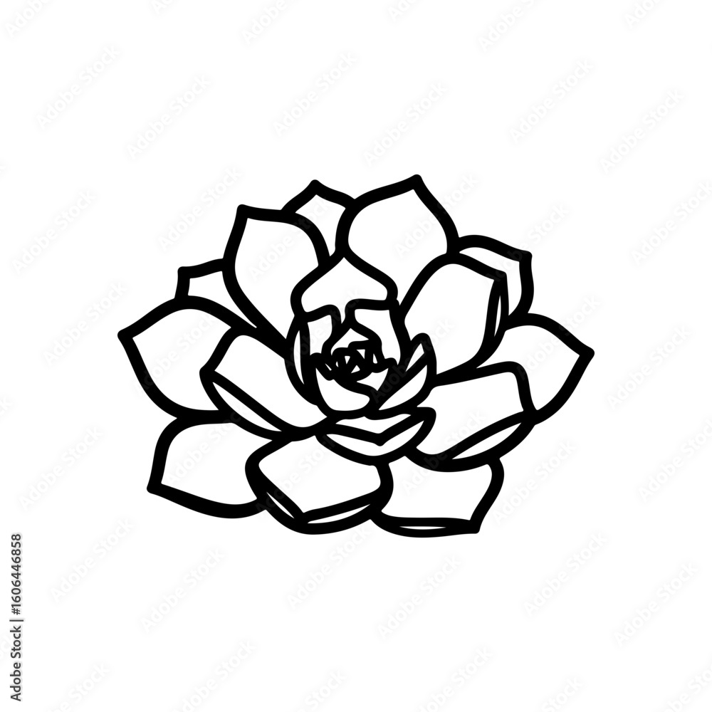 a black and white line drawing of a succulent or flowering plant with intricate, overlapping petals or leaves. The overall shape resembles a rosette or spiral pattern, creating a visually striking a black and white line drawing of a succulent or flowering plant with intricate, overlapping petals or leaves. The overall shape resembles a rosette or spiral pattern, creating a visually striking