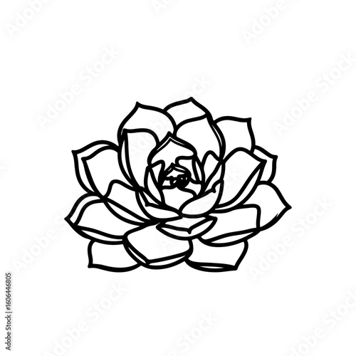 black and white line drawing of a succulent or flowering plant with intricate, overlapping petals or leaves. The overall shape resembles a rosette or spiral pattern, creating a visually striking and g