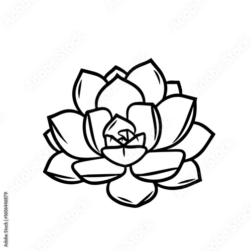 black and white line drawing of a succulent or flowering plant with intricate, overlapping petals or leaves. The overall shape resembles a rosette or spiral pattern, creating a visually striking and g