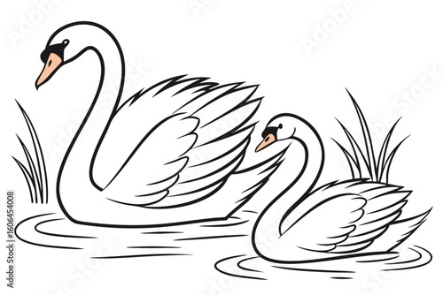 Graceful Swans in Serene Waters A Black and White Drawing of Two Elegant Birds with Reeds