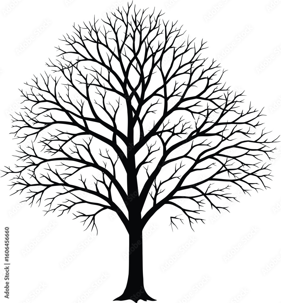 Obraz premium Silhouette of a Bare Tree with Branches Isolated on White Background Vector Illustration