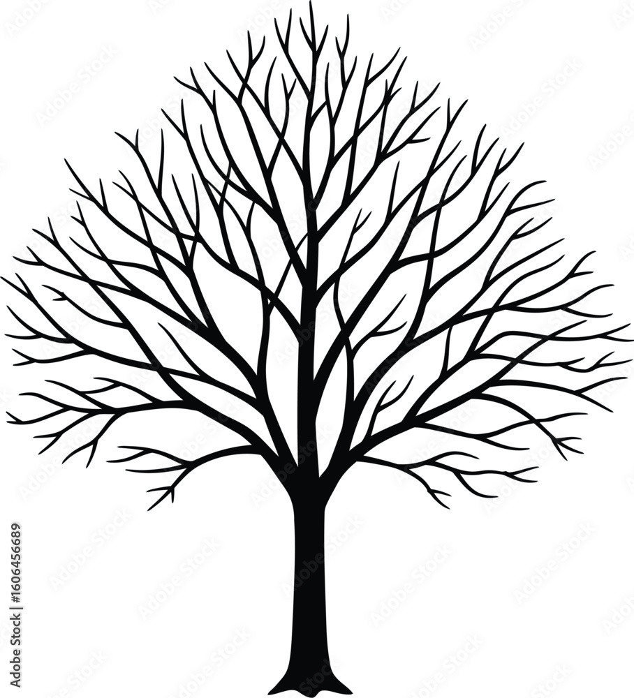 Obraz premium Silhouette of a Deciduous Tree in Winter Bare Branches Against a White Background Simple and Elegant