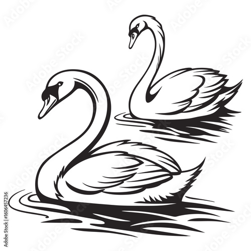 Elegant Swans Floating Serenely on Water, a Timeless Black and White Illustration of Graceful Birds