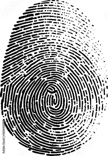 Perfect thumb fingerprint image. Scanned black and white fingerprint. criminal identity and police themes. eps 10