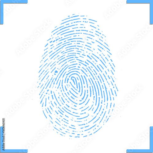 Vector format of finger print.
