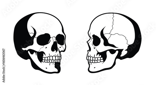 Black and White Human Skull Vector Set – Front and Side View