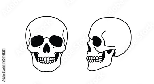 Black and White Human Skull Vector Set – Front and Side View