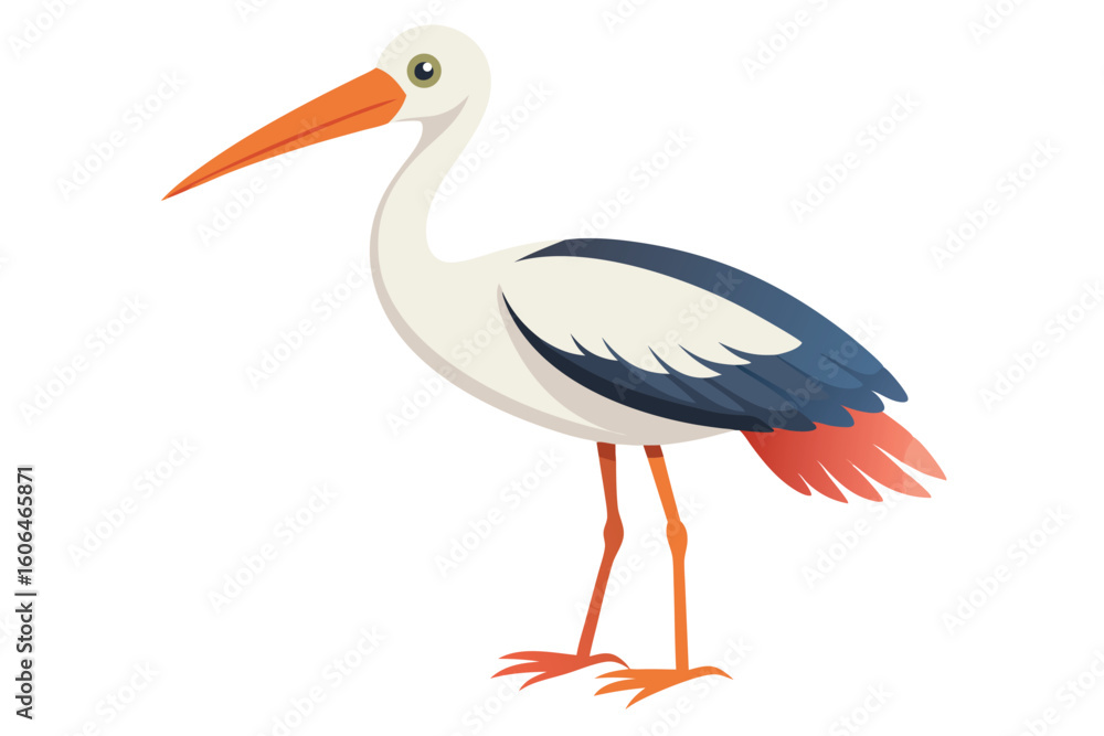 Fototapeta premium Stork Standing Tall A Detailed Vector Illustration of a Graceful Bird