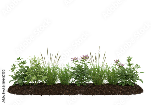 Lush garden bed with vibrant flowers and greenery, set against a clear blue sky