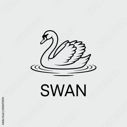vector illustration of a swan