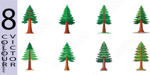 Eight Colorful Vector Illustrations of Evergreen Trees: Coniferous, Flat Style, Nature Graphics.