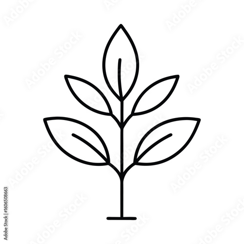 A stylized simple line drawing of a small plant with five leaves attached to a central stem