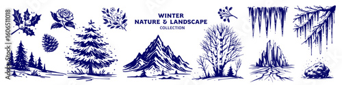 Winter Nature Collection Engraved Hand Drawn Natural Illustration Vector Isolated by AZ for Books, Arts, Design and Decoration Graphic Asset
