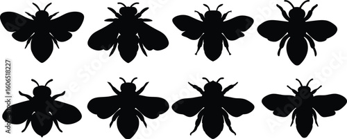 a photo of various black and white bumble bees, digital illustration, minimalist, vector graphic, monochrome, simplistic design
