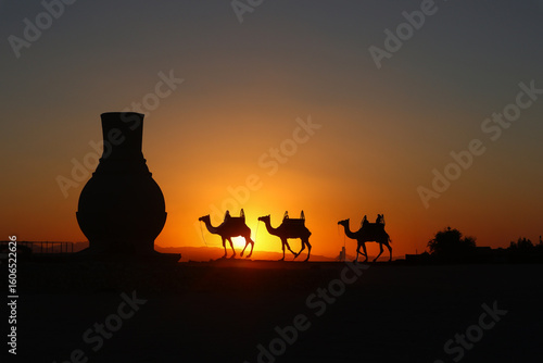 Kamel im sonnenuntergang