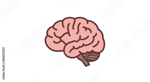 Simple illustration of a human brain, side view, in light pink and brown tones.