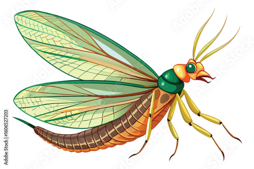 Colorful Cartoon Mayfly Illustration Featuring Intricate Wing Veins Segmented Body and Prominent Antennae Against a Clean White Background