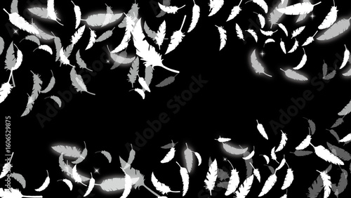 白い鳥の羽がふわふわと舞う（16:9）3 Feather Series:Many white bird feathers fluttering