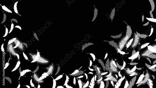 白い鳥の羽がふわふわと舞う（16:9）5 Feather Series:Many white bird feathers fluttering
