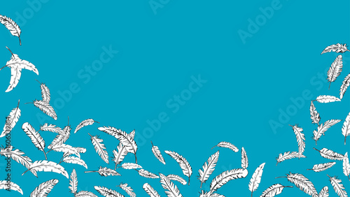 手描き線画の羽がふわふわと舞うフレーム（16:9）2 Feather Series:Hand-Drawn Line Art Feathers Falling from Above