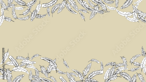 手描き線画の羽がふわふわと舞うフレーム（16:9）3 Feather Series:Hand-Drawn Line Art Feathers Falling from Above

