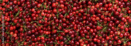 Many ripe sweet cherries as background, closeup. Studio banner,  red sweet cherries.