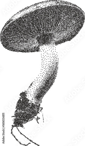 Mushroom y2k retro stipple art shroom brutalist halftone vector png transparent, fungi 2000s photocopy effect tattoo aesthetic