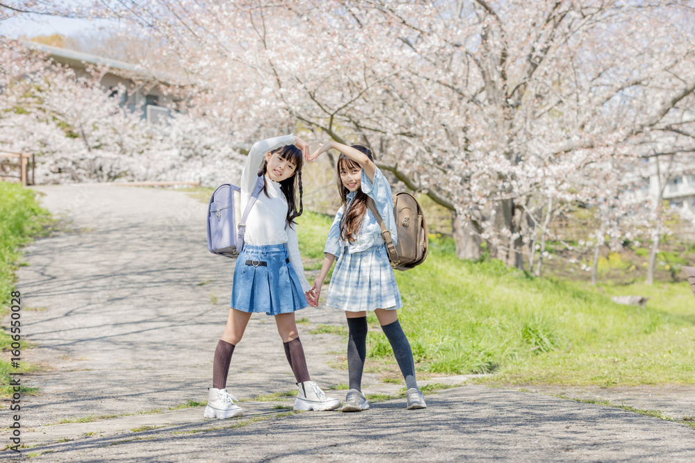 Obraz premium 桜並木の下を通学する小学生