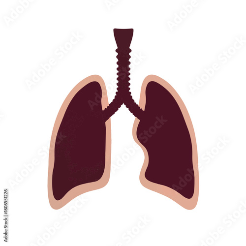 Stylized lungs silhouette in burgundy and sand palette, health concept