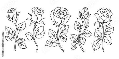 Hand-Drawn Floral Illustrations for Artistic Inspiration