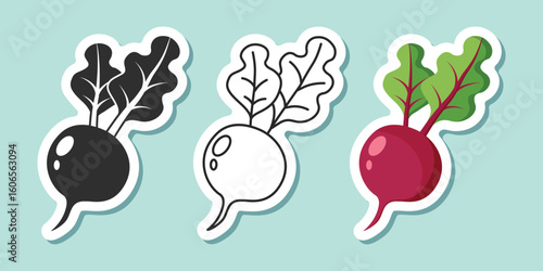 Beetroot vegetable with leaves sticker icon set collection in flat style. Beet plant vector illustration on isolated background. Healthy food sign business concept.