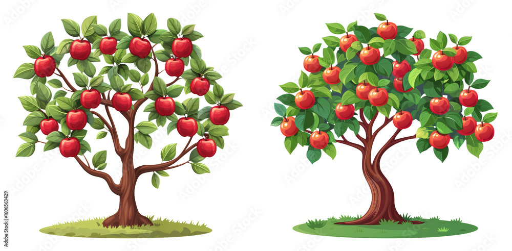 © Pixeloop - Apple trees with red fruits illustration isolated on transparent PNG image perfect for harvest posters or organic food visuals