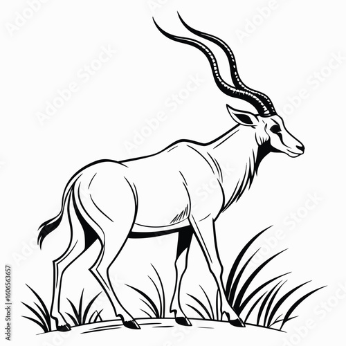 Elegant Antelope in Black and White Illustration Gazing Calmly Over a Grassy Plain with Majestic Horns Reaching Skyward
