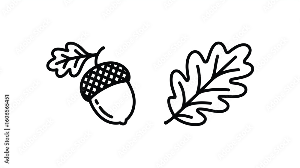 Obraz premium Minimalist Line Art of Acorn and Oak Leaf on White