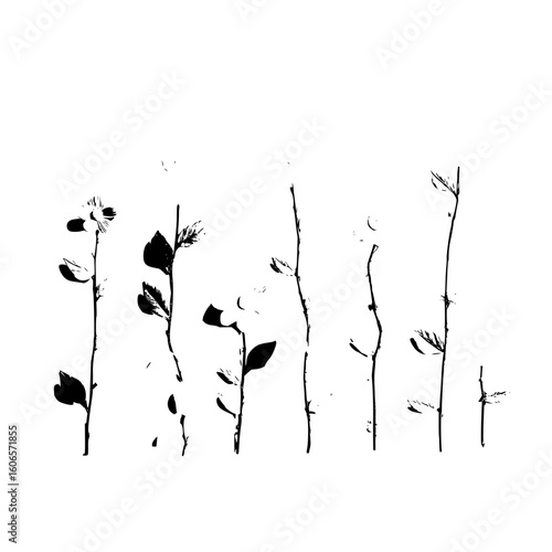 A monochromatic illustration of several plant stems with leaves against a white background display
