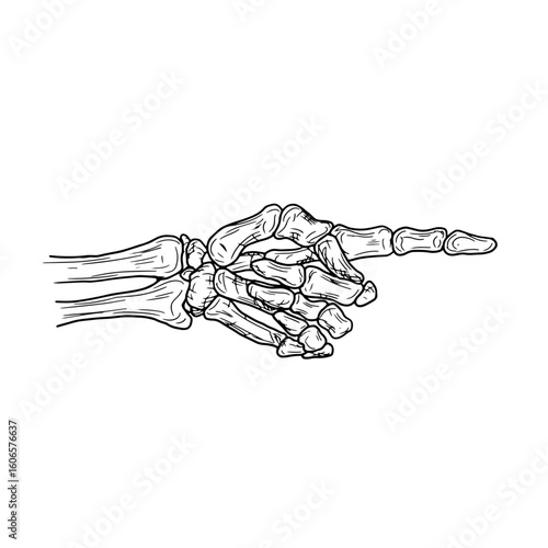 Skeleton's hand points with bony finger, silhouetted black-and-white sketch. Vector illustration. Hand of dead man, isolated on white background. For tattoos, prints, stickers, Halloween greeting card