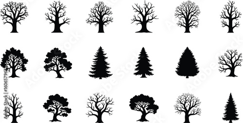 Collection of Black Tree Silhouettes, Featuring Deciduous and Evergreen Varieties, Perfect for Nature-Themed Designs and Ecological Projects