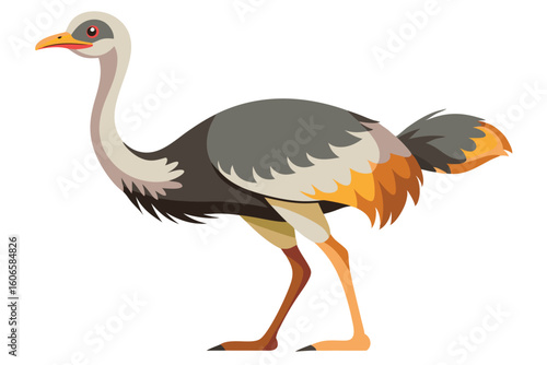 Cartoon Ostrich Illustration of a Large Flightless Bird with Gray Feathers and Long Neck Standing Tall on the Plains