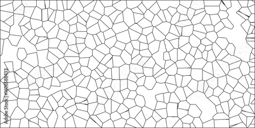 Abstract cellular structure isolated on white background simple illustration of cell division pattern black line art vector design