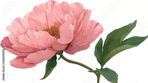 Close-up illustration of a single pink peony flower. The flower is depicted in a soft, pastel pink hue with visible details of the petals, pistils, and stamen.  The illustration style suggests a
