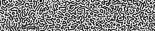 Turing abstract organic black white background. Nature texture. Ethnic, science, biology, chemistry, biotechnology wallpaper. vector 10 eps