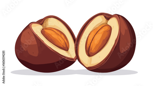 A digital illustration depicts two hazelnut halves, revealing their light brown kernels inside. The hazelnuts are depicted in a reddish-brown hue, rendered with shading to create a