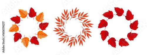 Three beautiful wreaths of vibrant red leaves on a white background