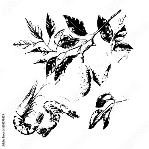 Illustration of two shrimps with detailed textures and a branch with leaves in black and white style art