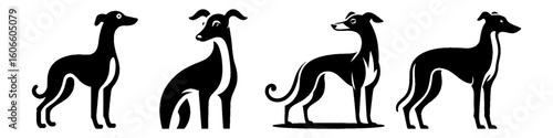 Simple Greyhound Dog Collection Illustration, Pets Animal Modern Set Vector for Icon and Racing Themes Design