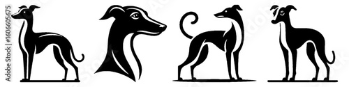 Simple Greyhound Collection Illustration, Racing Dog Modern Set Vector for Icon and Pet Themes Design